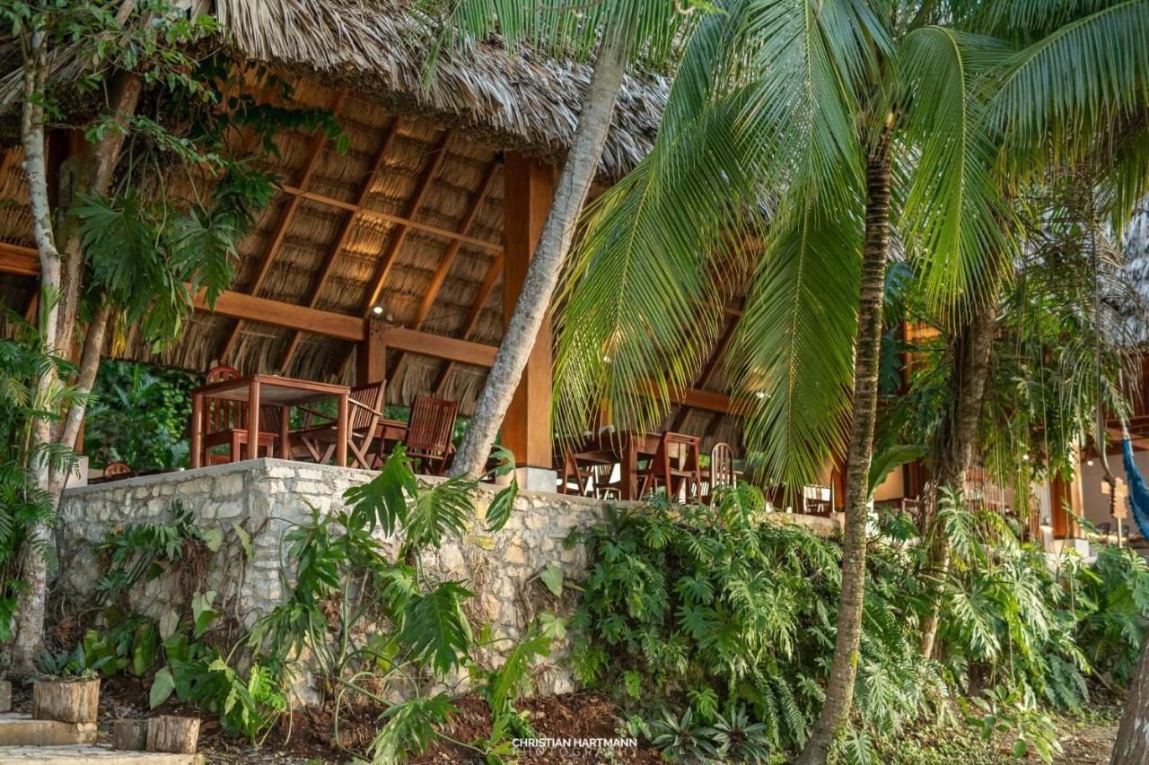 Hotel Gringo Perdido El Remate Exterior photo